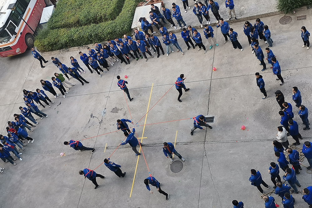 d88尊龙z6(中国)官方网站